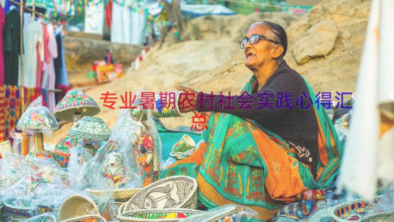 专业暑期农村社会实践心得（汇总12篇）