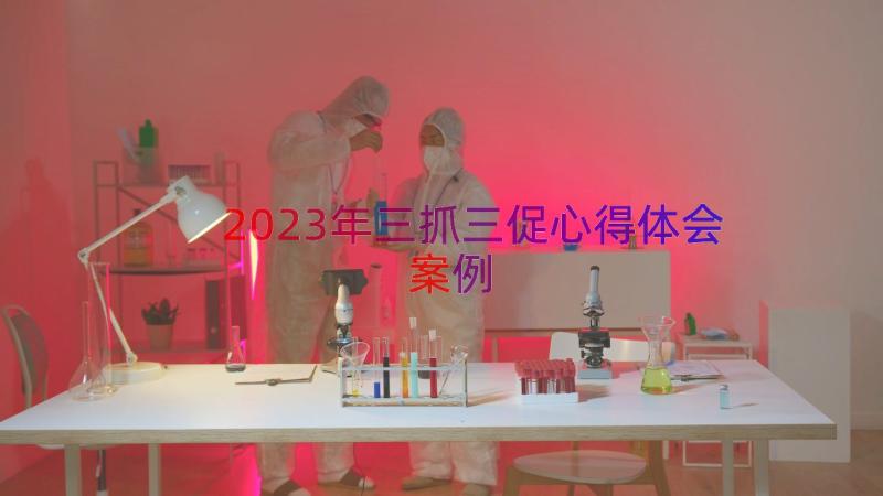 2023年三抓三促心得体会（案例13篇）