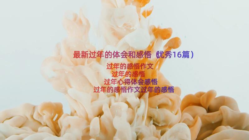 最新过年的体会和感悟（优秀16篇）