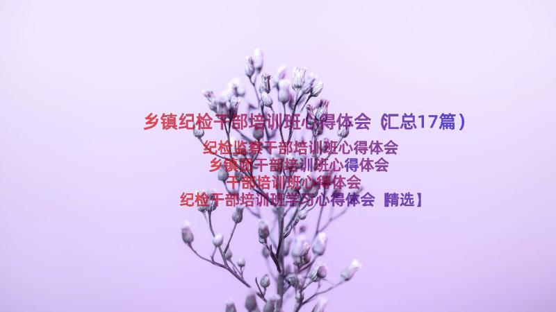 乡镇纪检干部培训班心得体会（汇总17篇）