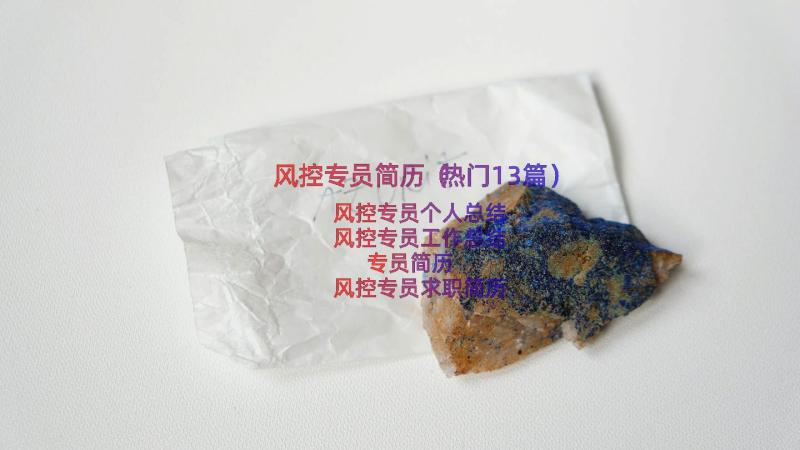 风控专员简历（热门13篇）