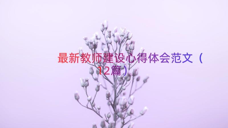 最新教师建设心得体会范文（12篇）