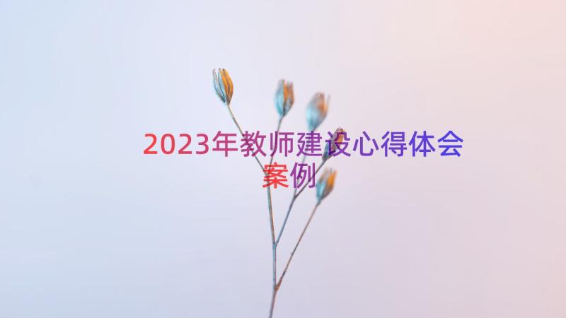 2023年教师建设心得体会（案例15篇）