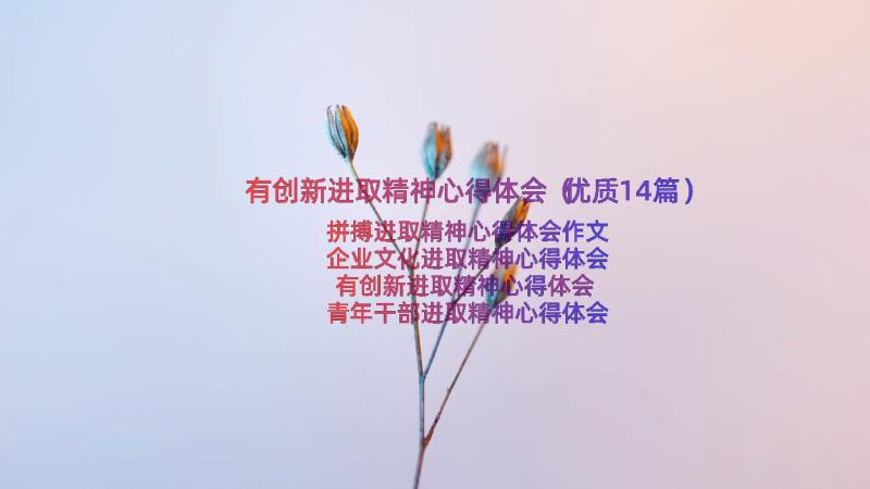 有创新进取精神心得体会（优质14篇）