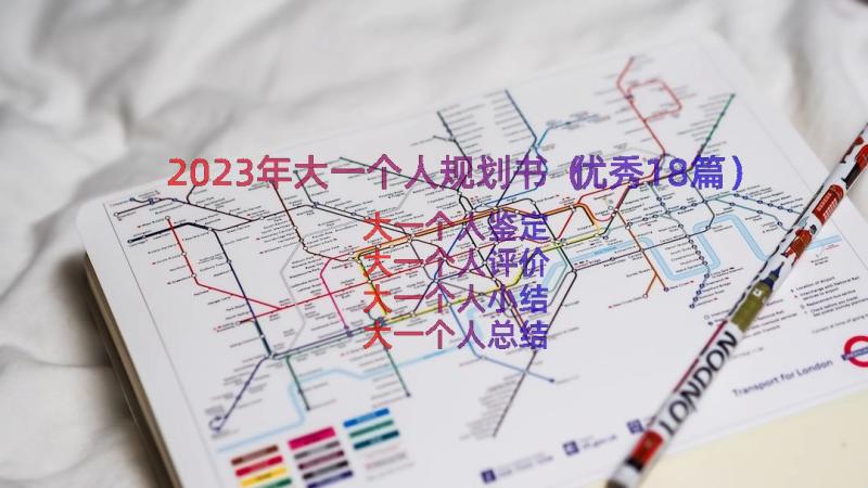 2023年大一个人规划书（优秀18篇）