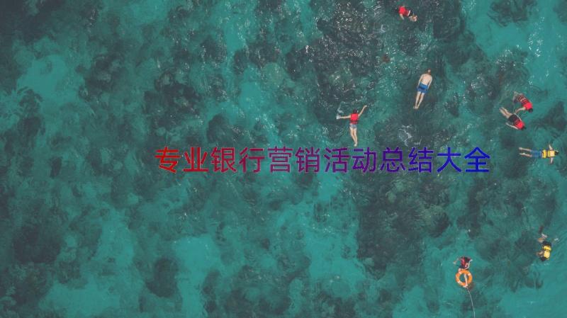 专业银行营销活动总结大全（13篇）