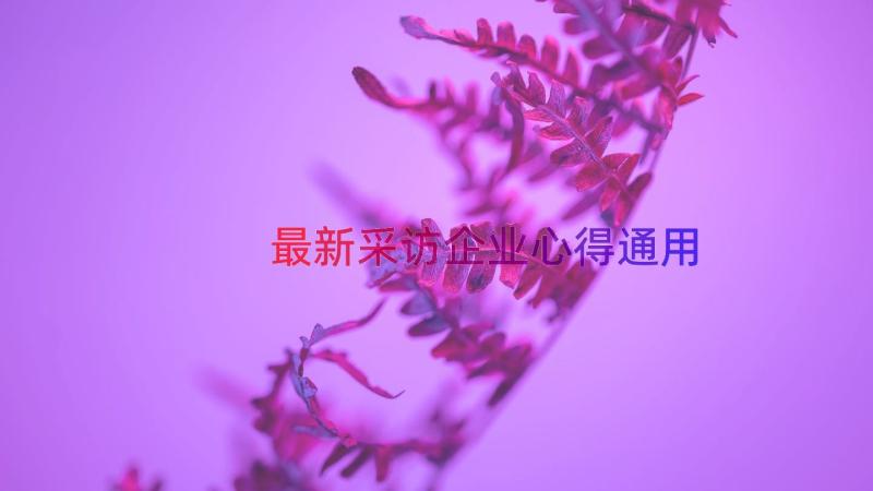 最新采访企业心得（通用16篇）