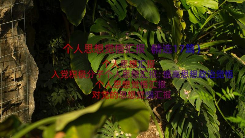 个人思想觉悟汇报（精选17篇）