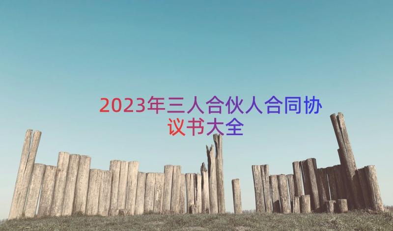 2023年三人合伙人合同协议书大全（14篇）