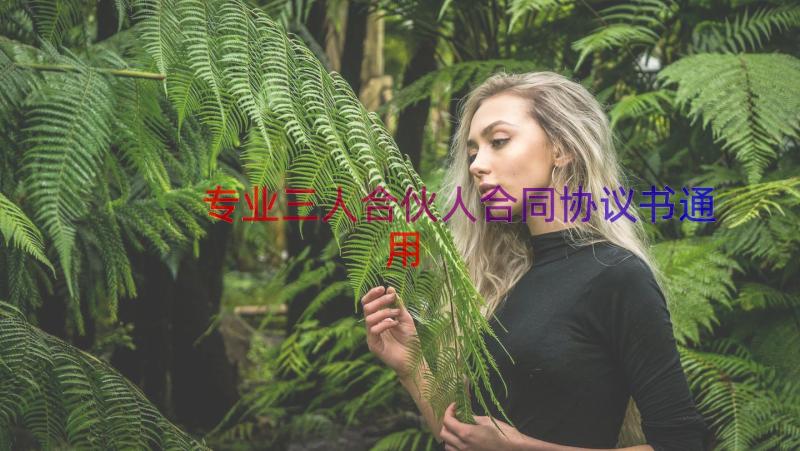 专业三人合伙人合同协议书（通用16篇）