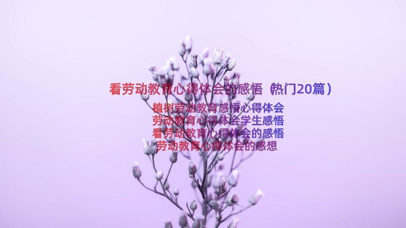 看劳动教育心得体会的感悟（热门20篇）