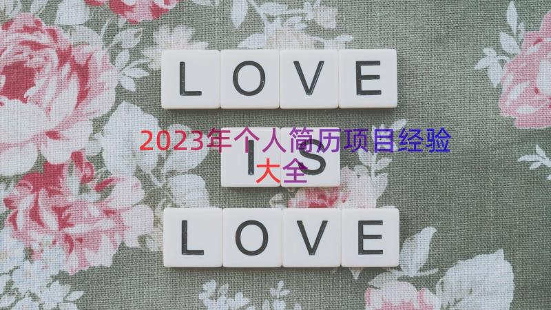 2023年个人简历项目经验大全（14篇）