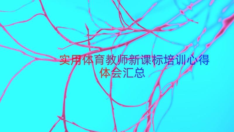 实用体育教师新课标培训心得体会（汇总12篇）