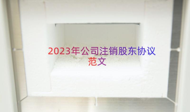 2023年公司注销股东协议范文（16篇）