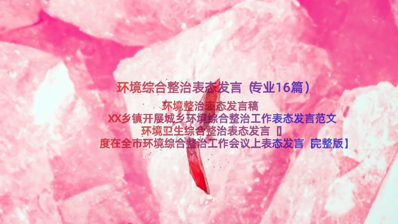 环境综合整治表态发言（专业16篇）