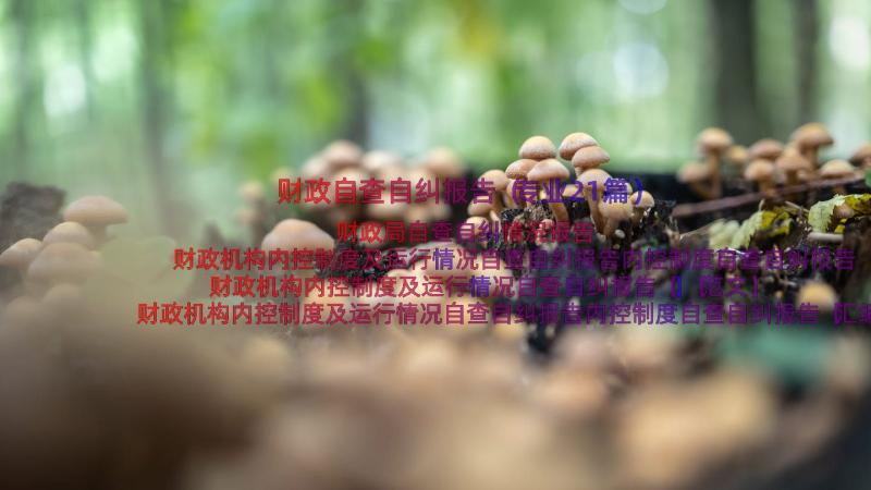 财政自查自纠报告（专业21篇）