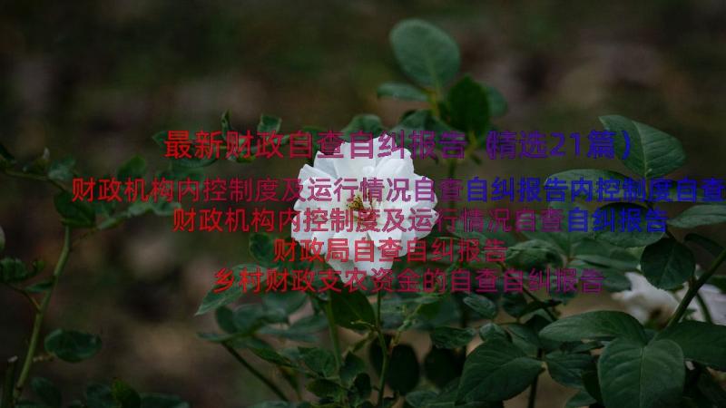 最新财政自查自纠报告（精选21篇）