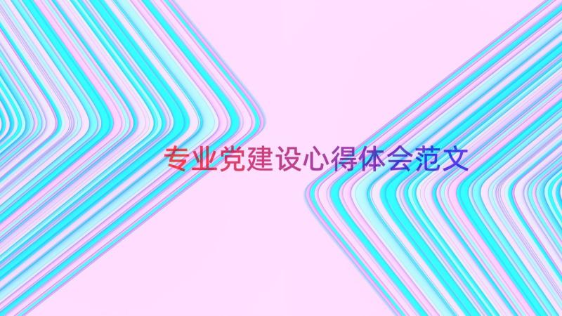 专业党建设心得体会范文（13篇）