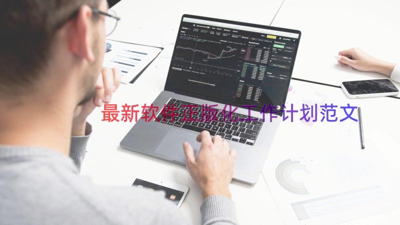 最新软件正版化工作计划范文（15篇）