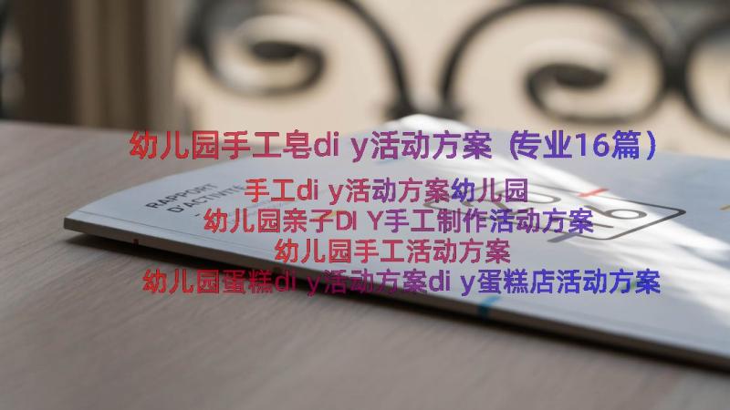 幼儿园手工皂diy活动方案（专业16篇）