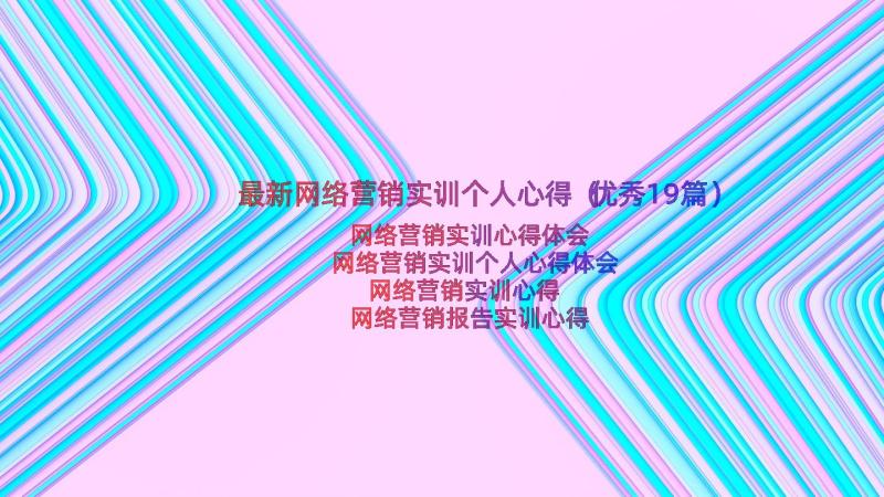 最新网络营销实训个人心得（优秀19篇）