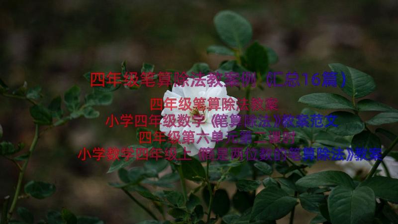 四年级笔算除法教案例（汇总16篇）