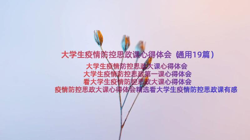 大学生疫情防控思政课心得体会（通用19篇）