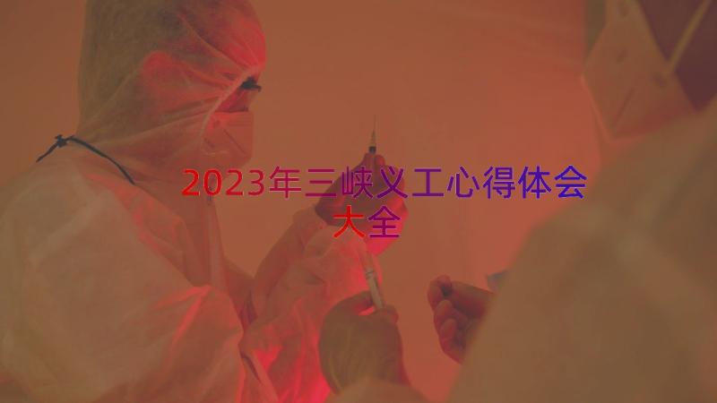 2023年三峡义工心得体会大全（16篇）