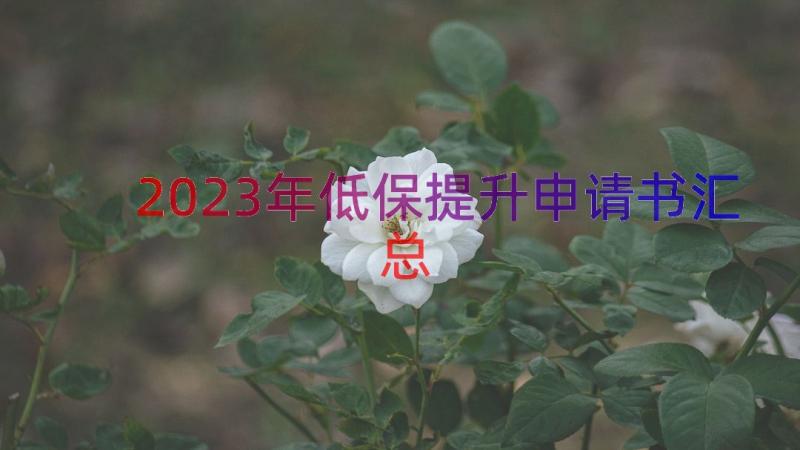 2023年低保提升申请书（汇总15篇）