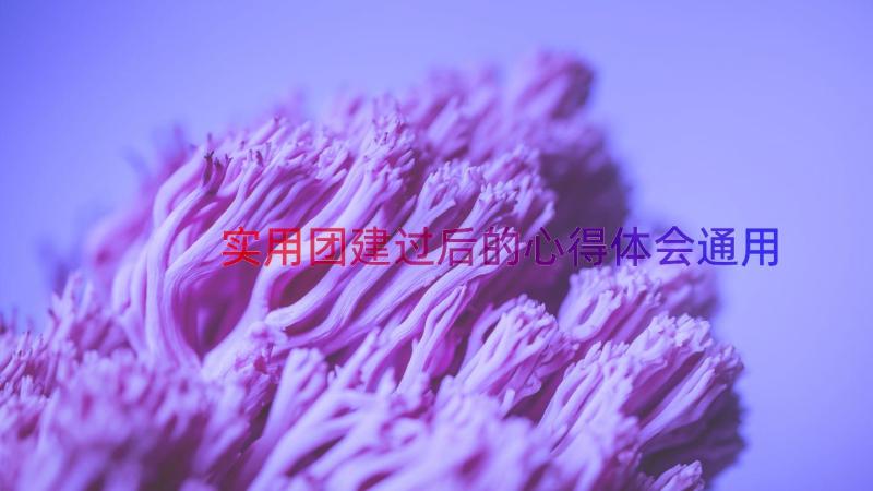 实用团建过后的心得体会（通用13篇）