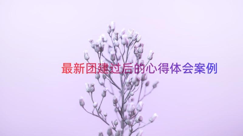 最新团建过后的心得体会（案例21篇）