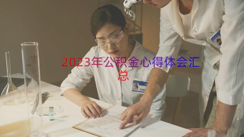 2023年公积金心得体会（汇总18篇）