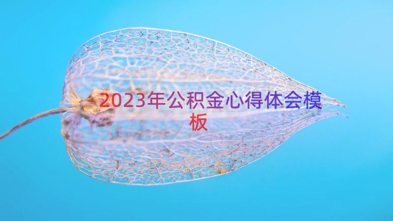 2023年公积金心得体会（模板13篇）