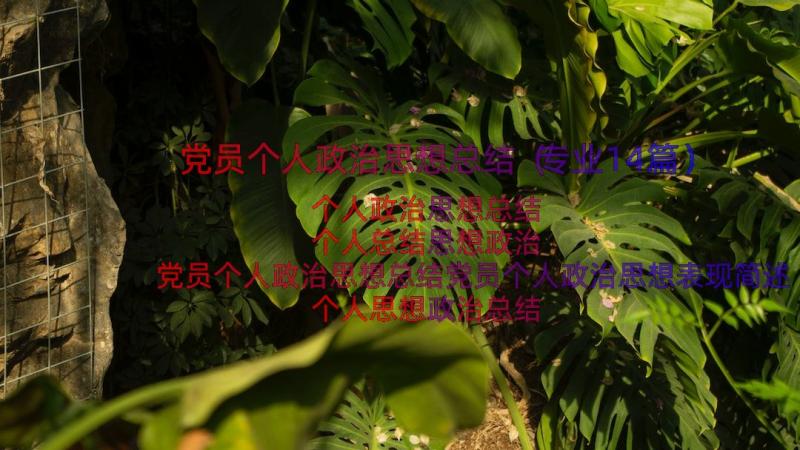 党员个人政治思想总结（专业14篇）