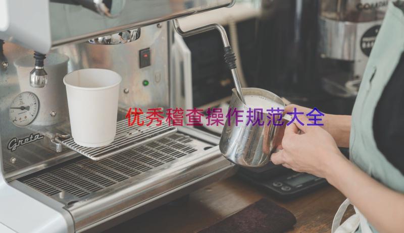 优秀稽查操作规范大全（16篇）