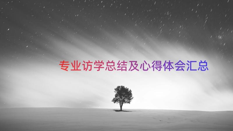 专业访学总结及心得体会（汇总16篇）