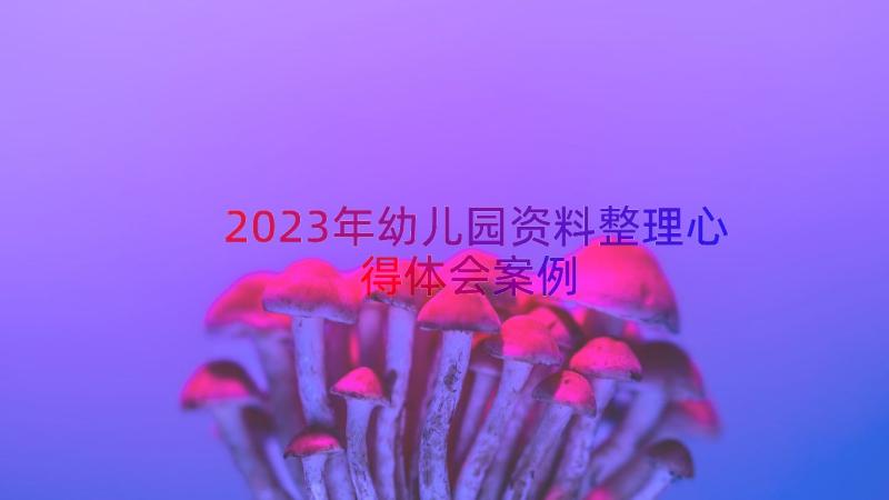 2023年幼儿园资料整理心得体会（案例17篇）