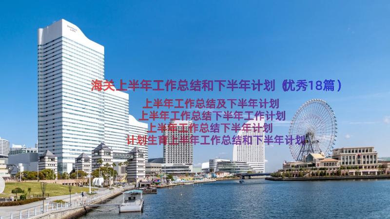 海关上半年工作总结和下半年计划（优秀18篇）