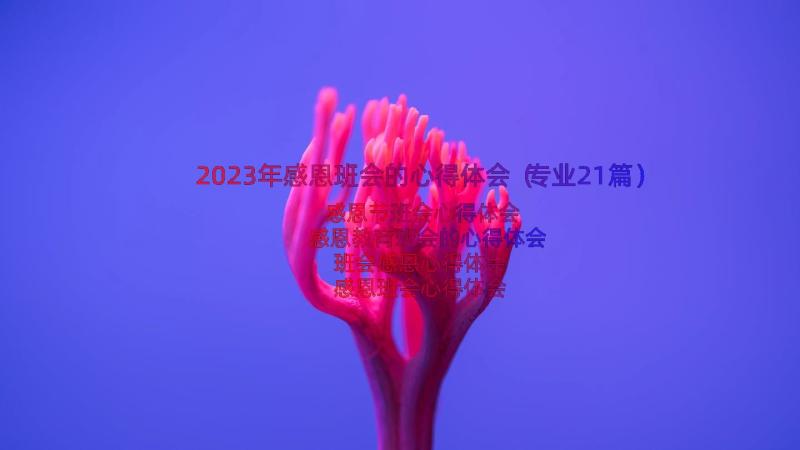 2023年感恩班会的心得体会（专业21篇）