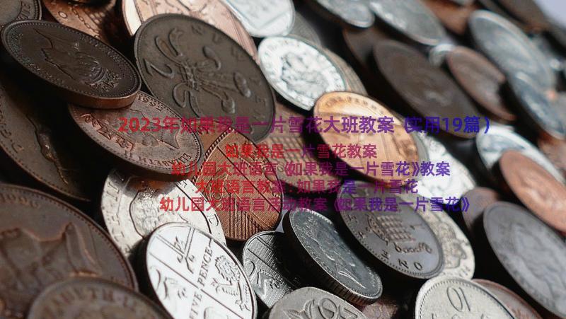 2023年如果我是一片雪花大班教案（实用19篇）