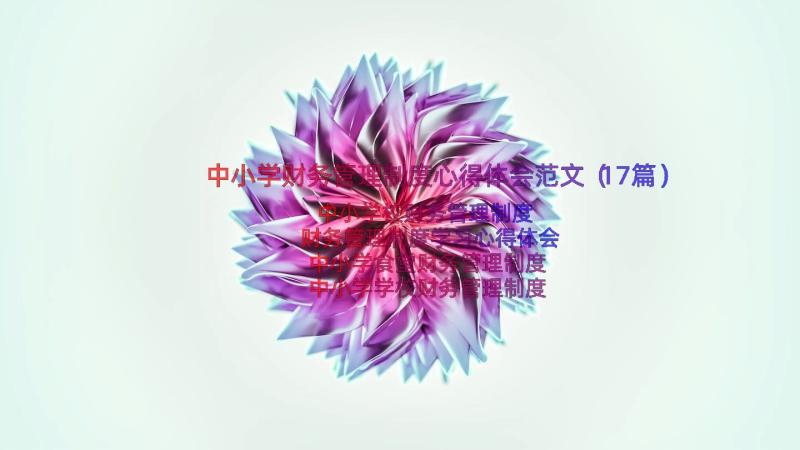 中小学财务管理制度心得体会范文（17篇）