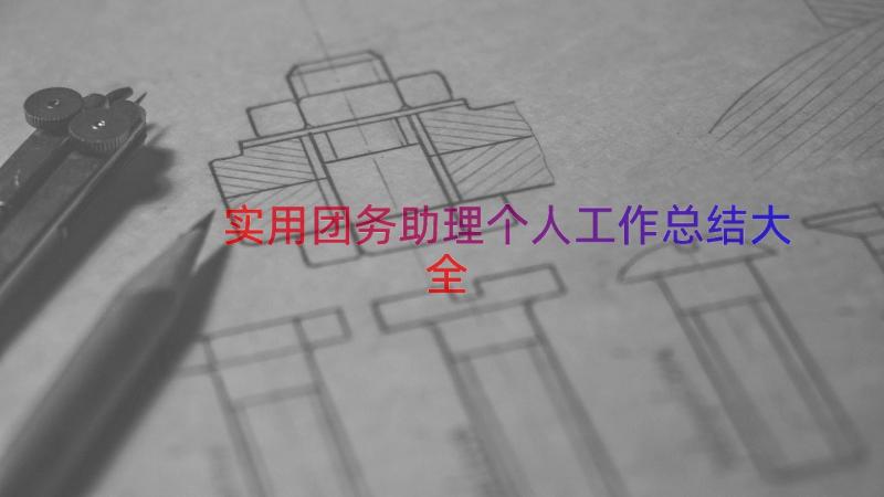 实用团务助理个人工作总结大全（16篇）