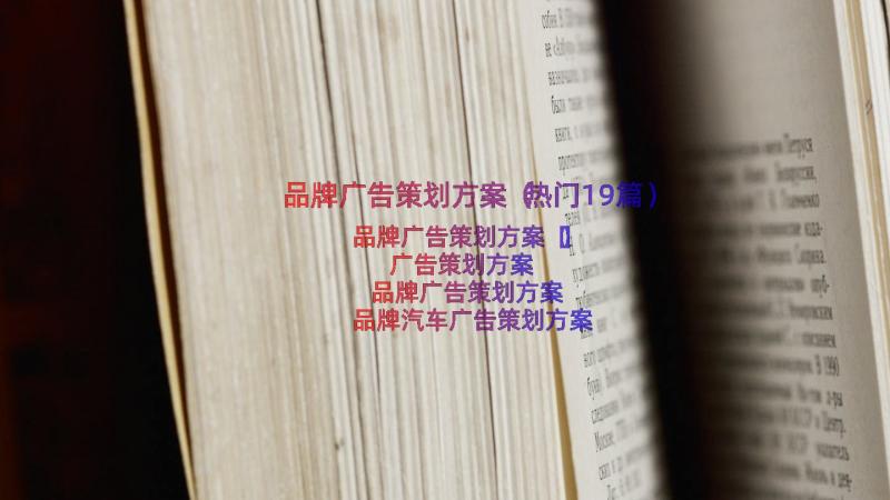 品牌广告策划方案（热门19篇）