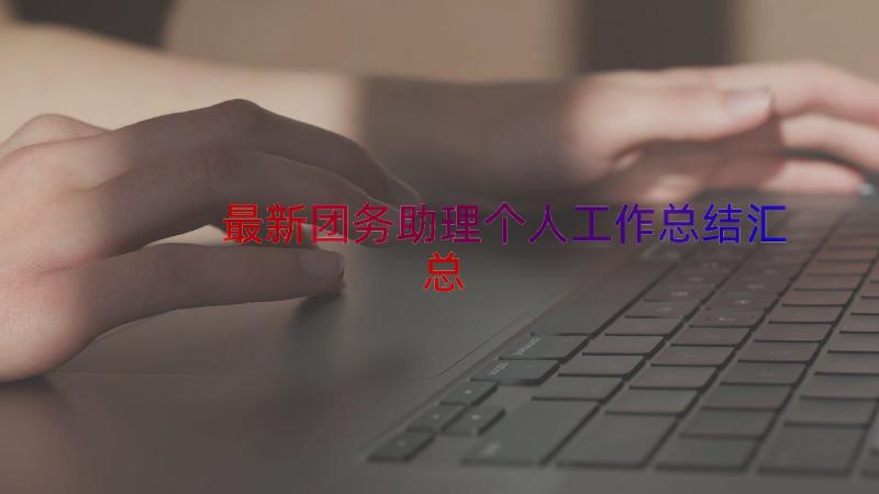 最新团务助理个人工作总结（汇总19篇）