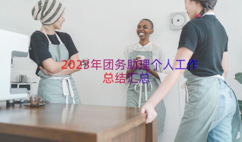 2023年团务助理个人工作总结（汇总17篇）