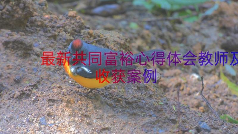 最新共同富裕心得体会教师及收获（案例20篇）