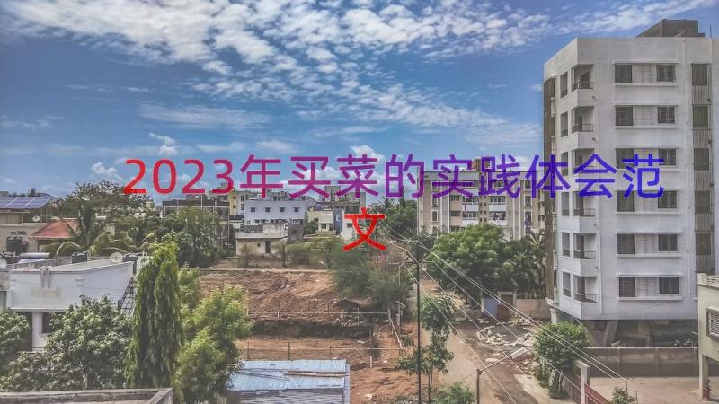 2023年买菜的实践体会范文（14篇）