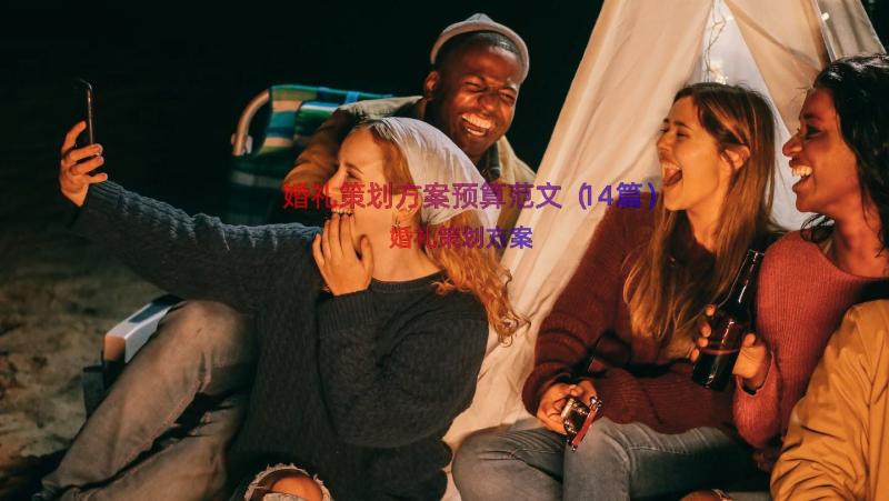 婚礼策划方案预算范文（14篇）