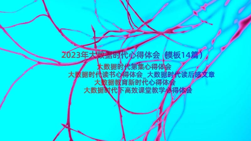 2023年大数据时代心得体会（模板14篇）