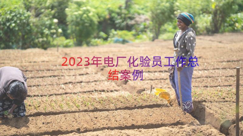 2023年电厂化验员工作总结（案例13篇）